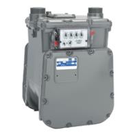 Landis + Gyr AL 425 Gas Meter